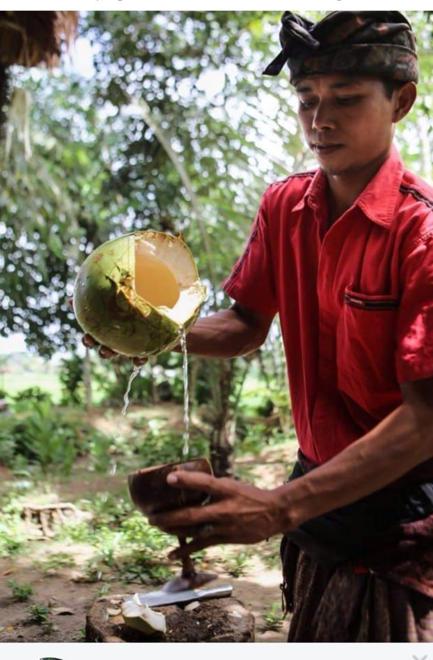 Discover Authentic Balinese Culture: Immersive Village Tour