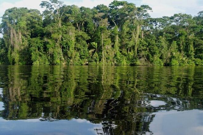 Three-Day Tortuguero National Park Adventure with Complimentary Pickup