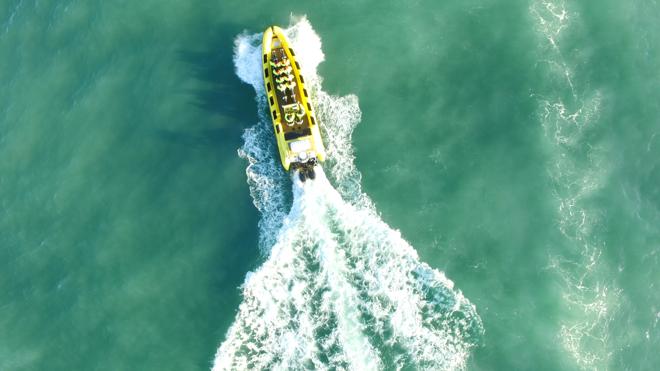 Downtown Reykjavik RIB Speedboat Tour: Whale and Puffin Watching Experience