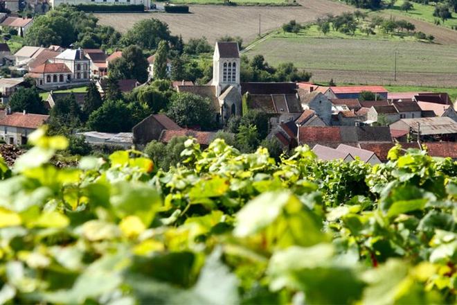 Small-Group Champagne Tour from Paris: Discover Mercier, Le Gallais, & Pressoria