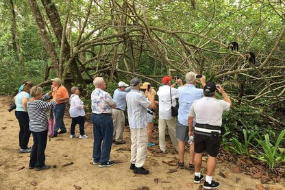 Tortuguero Canal and Cahuita National Park: A Nature and History Shore Excursion