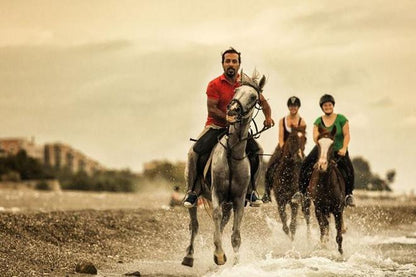 Kusadasi Horseback Riding Adventure: Tours from Port and Hotels