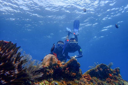 Explore Scuba Diving at USAT Liberty Shipwreck in Tulamben, Bali