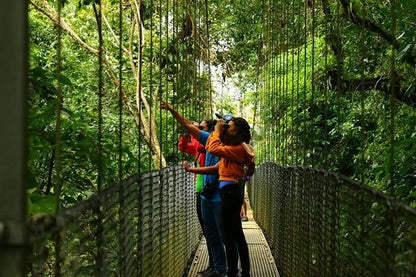 Arenal Volcano Adventure: Private Tour of Hanging Bridges and Baldi Hot Springs from San Jose