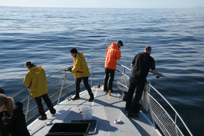 Reykjavik Premium Sea Fishing Experience with Gourmet Meal