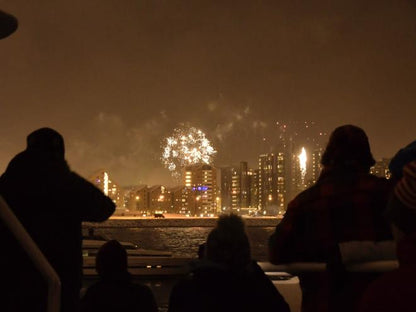 Celebrate New Year's Eve with a Spectacular Sea Tour in Reykjavik