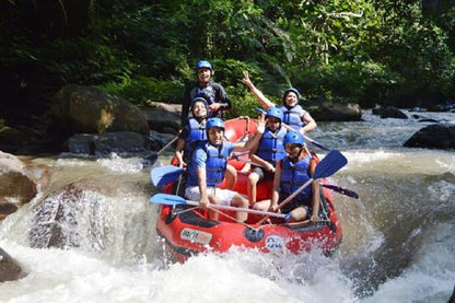 Private Half-Day White Water Rafting Tour for Small Groups