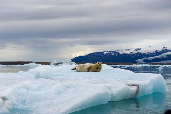 Iceland's 6-Day Ultimate Ring Road Adventure