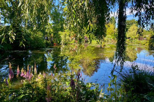 Small-Group Giverny Half-Day Tour from Paris via Mercedes (2-7 People)