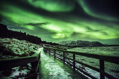 Reykjavik Northern Lights Adventure: Guided Bus Tour