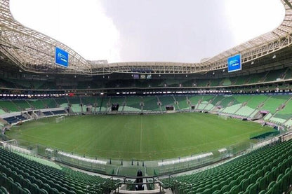 Private Guided Tour: Discover Sao Paulo's Football Museum and Iconic Stadiums