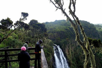 One-Day Safari Adventure in Aberdare National Park