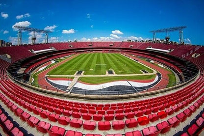 Private Guided Tour: Discover Sao Paulo's Football Museum and Iconic Stadiums