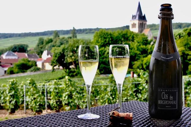 Moët & Chandon Champagne Experience: Small Group Tour from Paris to Pressoria