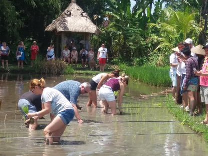 Exclusive Cultural Excursion to a Balinese Village and Tanah Lot Temple