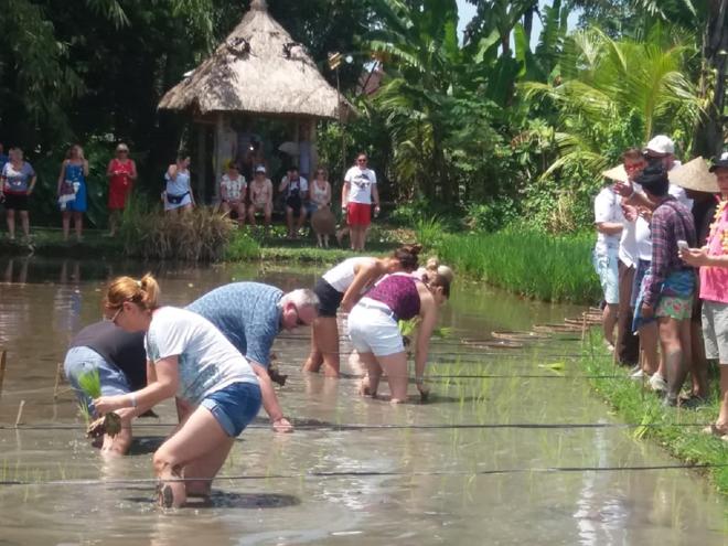 Experience the Charm of Bali: Exclusive Village Visit and Tanah Lot Temple Cultural Exploration