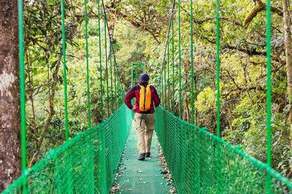 Arenal Volcano Adventure: Private Tour of Hanging Bridges and Baldi Hot Springs from San Jose