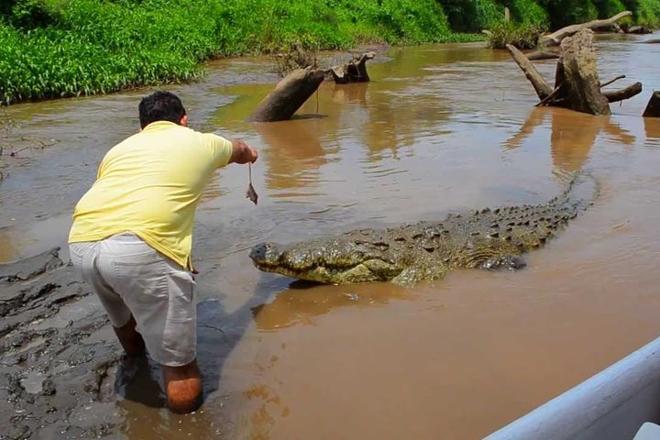 Crocodile Safari & Beach Exploration: A Thrilling Day Tour from San Jose to Jaco