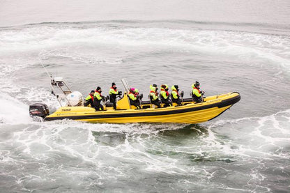 Downtown Reykjavik RIB Speedboat Tour: Whale and Puffin Watching Experience