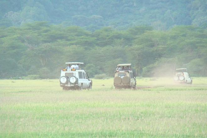 Arusha to Lake Manyara: Full-Day Safari Adventure