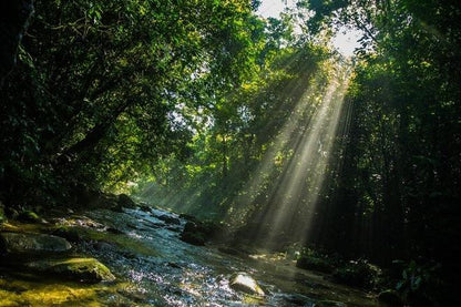 Exploring the Natural Beauty of Bertioga: Coastal Trail Adventure