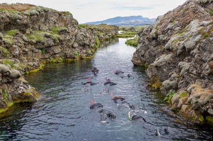 Silfra Snorkeling Adventure - with Pickup