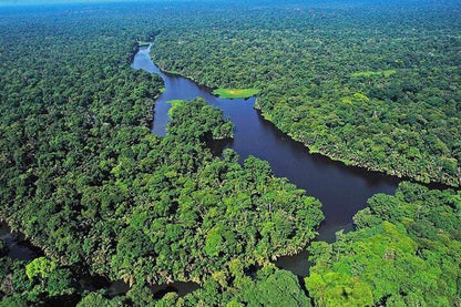 Three-Day Tortuguero National Park Adventure with Complimentary Pickup