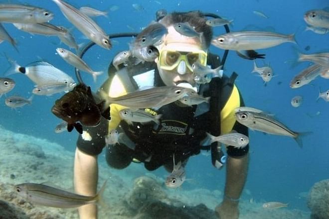 Scuba Diving Adventure from Kusadasi or Selcuk: Explore Underwater Wonders