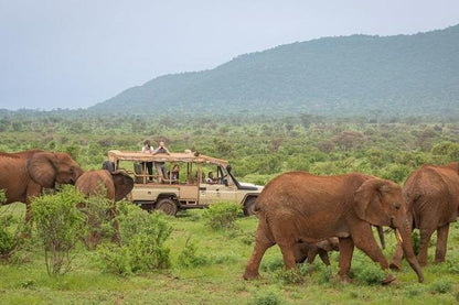 Nairobi and Samburu National Reserve 4-Day Safari Adventure