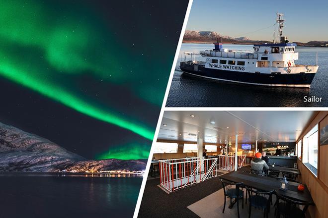 Reykjavik Northern Lights Cruise: An Enchanting Evening at Sea