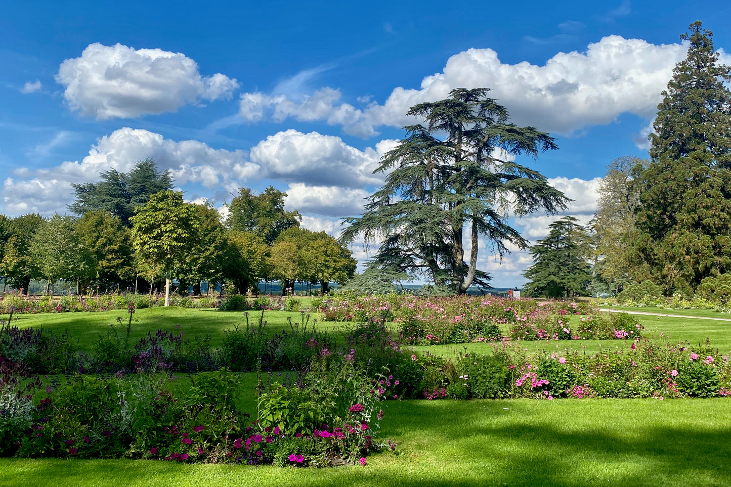 Loire Valley Castles 2-Day Guided Tour from Paris: Small Group Experience with Wine Tasting