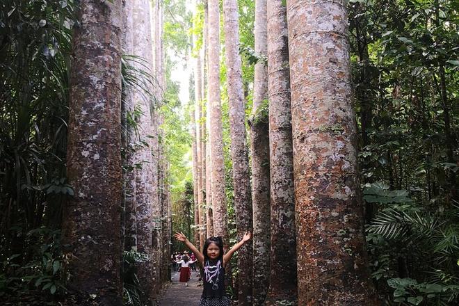 Cairns Paronella Park, Herberton Village, and Wildlife Tour