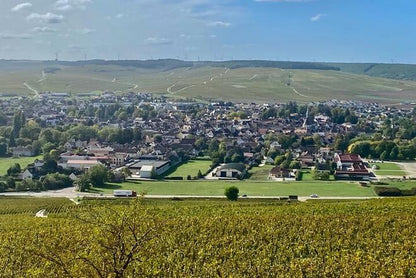 Exclusive Burgundy Wine Tasting Tour: 3 Domaines, Chateau Pommard, Chablis & 15 Varieties - Day Trip from Paris