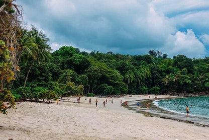 San Jose to Manuel Antonio National Park: A Day Adventure