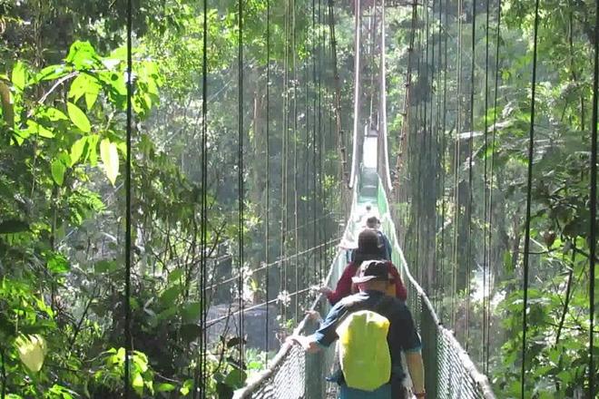 Rainforest Exploration: Private Chocolate Tour and Hanging Bridge Adventure