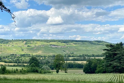 Exclusive Vintage Champagne Tour: Private Visit to Taittinger and Veuve Clicquot