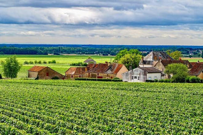 Exclusive Burgundy Wine Tasting Tour: 3 Domaines, Chateau Pommard, Chablis & 15 Varieties - Day Trip from Paris