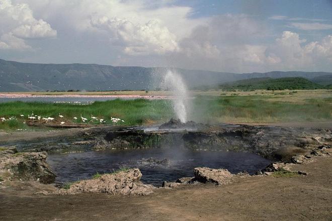 Arusha to Lake Manyara: Full-Day Safari Adventure