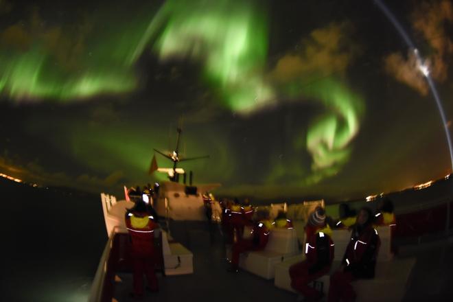 Northern Lights Cruise from Reykjavik with Pickup Service