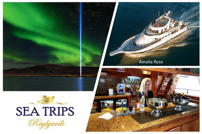 Reykjavík Northern Lights Viewing Cruise: An Enchanting Evening Adventure