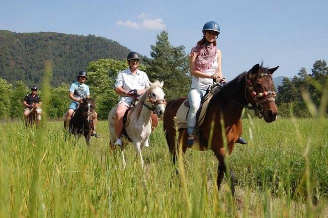 Kusadasi Horseback Riding Adventure: Tours from Port and Hotels