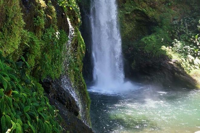 Private Tour to Poas Volcano and La Paz Waterfall Gardens