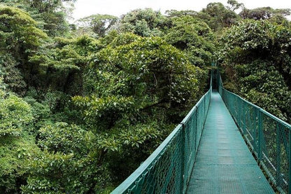 Arenal Volcano Adventure: Private Tour of Hanging Bridges and Baldi Hot Springs from San Jose