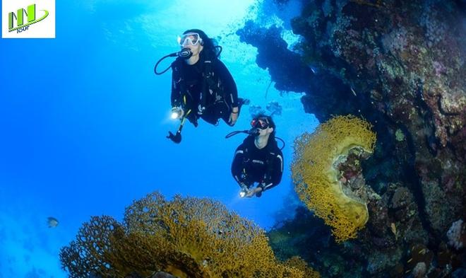 Full-Day Bali Scuba Diving Adventure in Tulamben