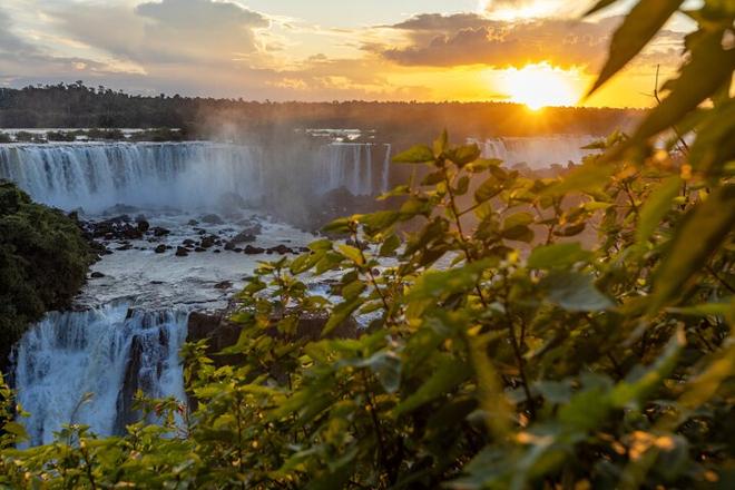 Private Tour: Explore Itaipu Dam and Iguassu Falls Brazilian Side