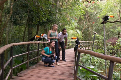 Iguassu Falls Helicopter Ride: Full-Day Adventure Tour