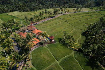 Scenic ATV Adventure: Explore the Fun Zone and Breathtaking Trails