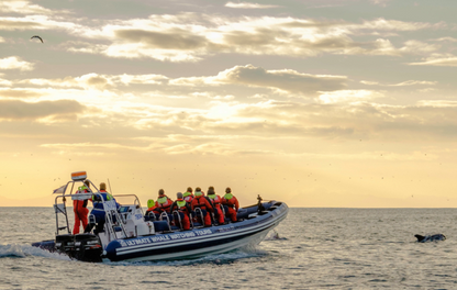 Midnight Sun Whale Watching Express in Akureyri