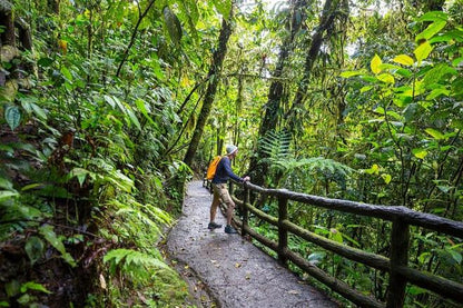 Private Arenal Volcano Eco Adventure and Baldi Hot Springs Experience from San Jose