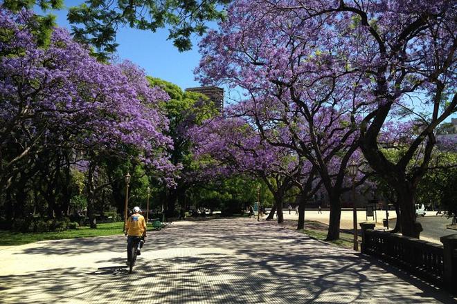 Discover Buenos Aires: Comprehensive One-Day Bike Tour with All-Inclusive Experience